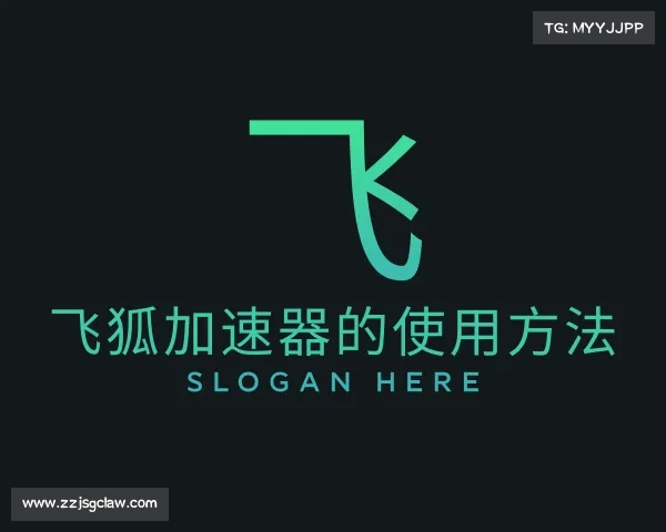 解读飞狐加速器的使用方法